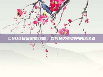 CSGO白金徽章攻略，如何成为游戏中的佼佼者