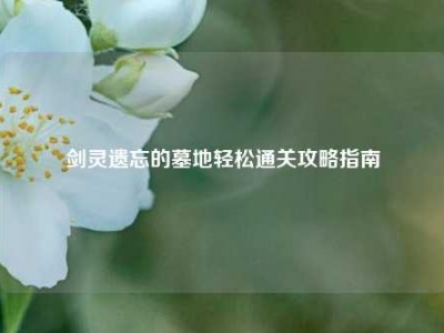 剑灵遗忘的墓地轻松通关攻略指南