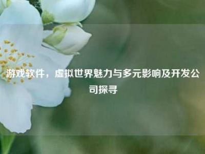 游戏软件，虚拟世界魅力与多元影响及开发公司探寻