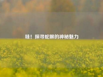 哇！探寻蛇眼的神秘魅力