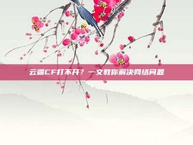 云端CF打不开？一文教你解决网络问题