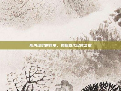 斯内维尔的账本，揭秘古代记账艺术