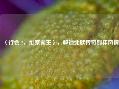 〈行会 2，维京霸主〉，解锁北欧传奇别样风情