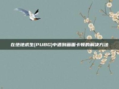 在绝地求生(PUBG)中遇到画面卡顿的解决方法