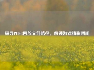 探寻PUBG回放文件路径，解锁游戏精彩瞬间