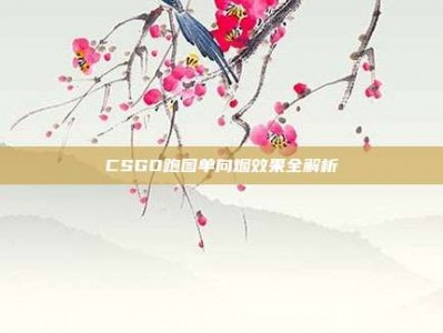 CSGO跑图单向烟效果全解析