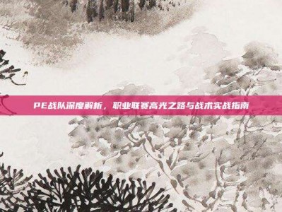 PE战队深度解析，职业联赛高光之路与战术实战指南