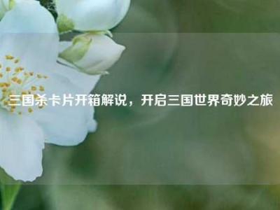 三国杀卡片开箱解说，开启三国世界奇妙之旅