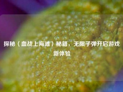 探秘〈血战上海滩〉秘籍，无限子弹开启游戏新体验