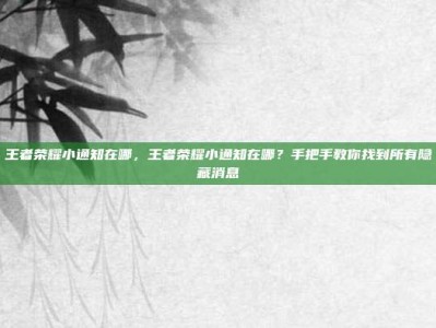 王者荣耀小通知在哪，王者荣耀小通知在哪？手把手教你找到所有隐藏消息
