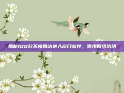 揭秘100款不良网站进入窗口软件，警惕网络陷阱