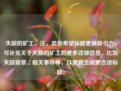 失踪的矿工，注，若你希望标题更具吸引力，可补充关于失踪的矿工的更多详细信息，比如失踪背景、相关事件等，以便我生成更合适标题。