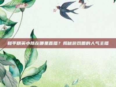 和平精英小陈在哪里直播？揭秘游戏圈的人气主播