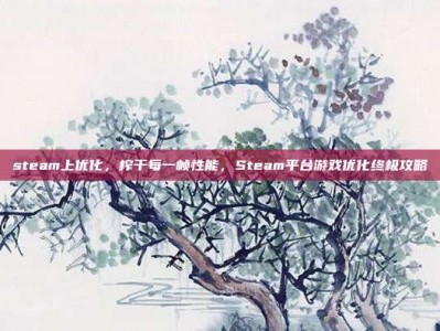 steam上优化，榨干每一帧性能，Steam平台游戏优化终极攻略
