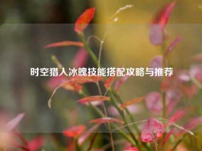 时空猎人冰魄技能搭配攻略与推荐
