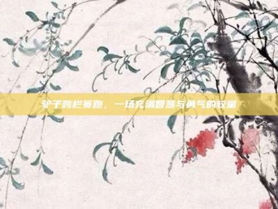驴子跨栏赛跑，一场充满智慧与勇气的较量
