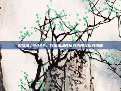 微博崩了2022，网络波动背后的真相与应对策略