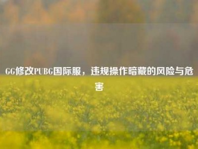 GG修改PUBG国际服，违规操作暗藏的风险与危害