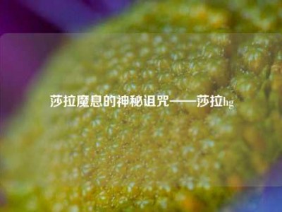 莎拉魔息的神秘诅咒——莎拉hg