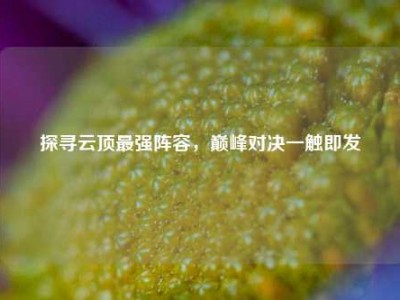 探寻云顶最强阵容，巅峰对决一触即发