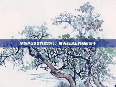 掌握PUBG的宏技巧，成为战场上的隐形高手