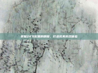掌握2K9配置的精髓，打造完美游戏体验