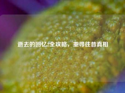 逝去的回忆2全攻略，重寻往昔真相