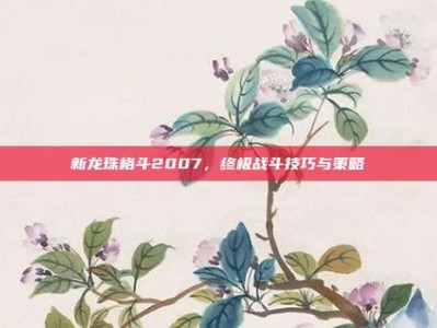 新龙珠格斗2007，终极战斗技巧与策略