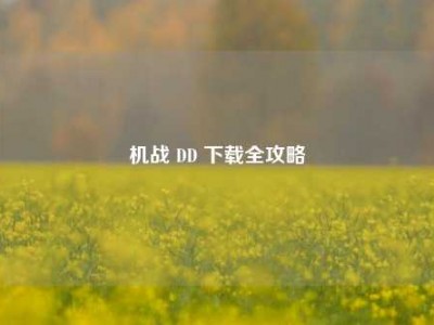 机战 DD 下载全攻略