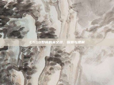 CSGO野荷的英文名，探索与理解