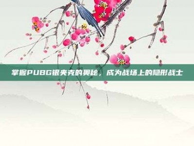 掌握PUBG银夹克的奥秘，成为战场上的隐形战士