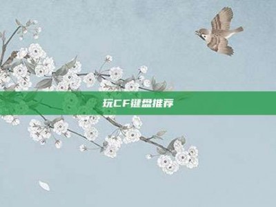 玩CF键盘推荐