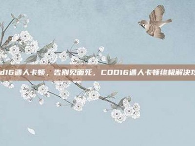 cod16遇人卡顿，告别见面死，COD16遇人卡顿终极解决攻略