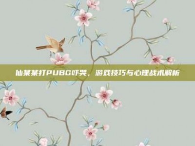 仙某某打PUBG吓哭，游戏技巧与心理战术解析