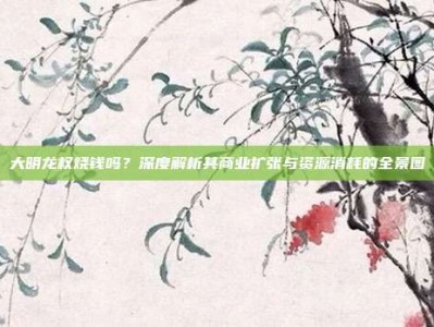 大明龙权烧钱吗？深度解析其商业扩张与资源消耗的全景图