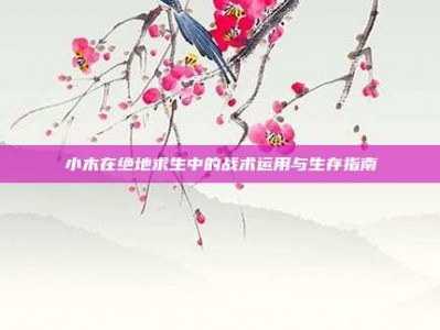 小木在绝地求生中的战术运用与生存指南