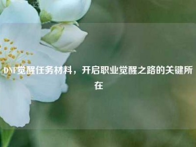 DNF觉醒任务材料，开启职业觉醒之路的关键所在