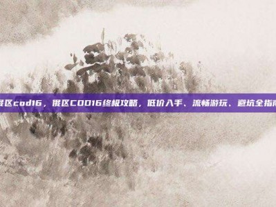 俄区cod16，俄区COD16终极攻略，低价入手、流畅游玩、避坑全指南