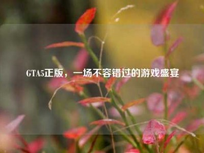 GTA5正版，一场不容错过的游戏盛宴