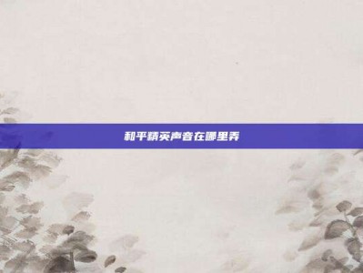 和平精英声音在哪里弄