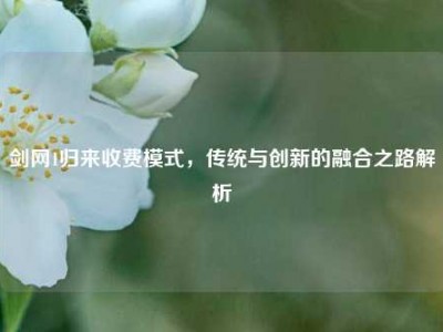 剑网1归来收费模式，传统与创新的融合之路解析