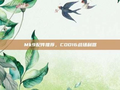Mk9配件推荐，COD16战场利器