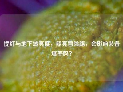 提灯与地下城亮度，照亮冒险路，会影响装备爆率吗？