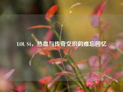LOL S4，热血与传奇交织的难忘回忆