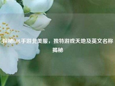 探秘LOL手游北美服，独特游戏天地及英文名称揭秘