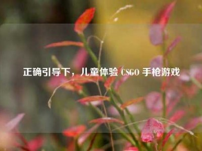 正确引导下，儿童体验 CSGO 手枪游戏