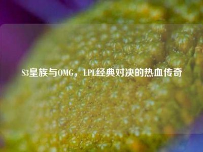 S3皇族与OMG，LPL经典对决的热血传奇