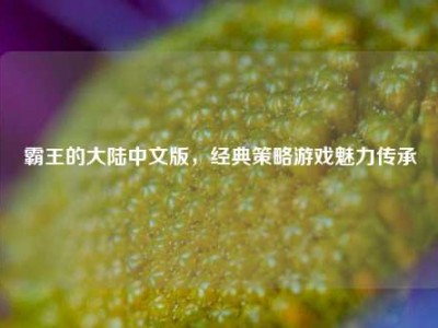 霸王的大陆中文版，经典策略游戏魅力传承