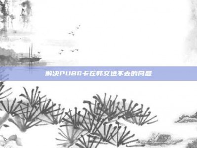 解决PUBG卡在韩文进不去的问题
