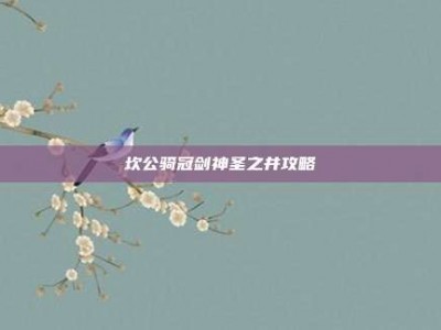 坎公骑冠剑神圣之井攻略